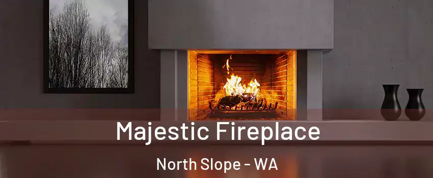 Majestic Fireplace North Slope - WA