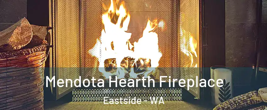 Mendota Hearth Fireplace Eastside - WA