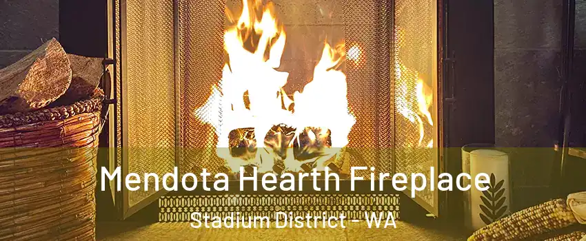 Mendota Hearth Fireplace Stadium District - WA