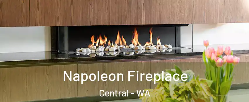 Napoleon Fireplace Central - WA