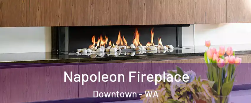 Napoleon Fireplace Downtown - WA