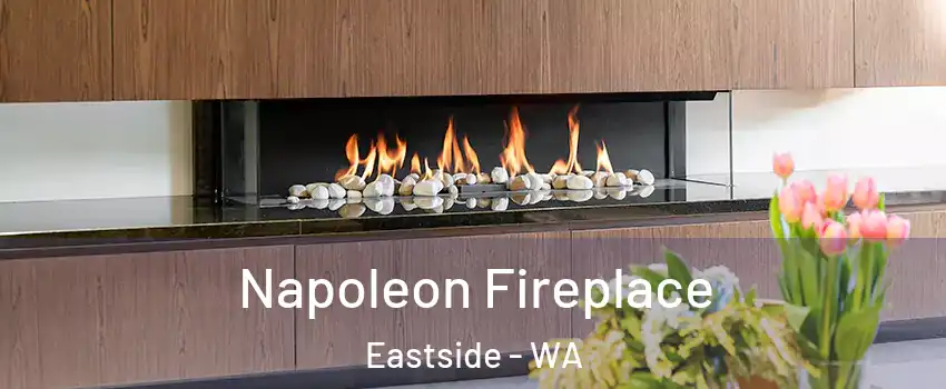 Napoleon Fireplace Eastside - WA