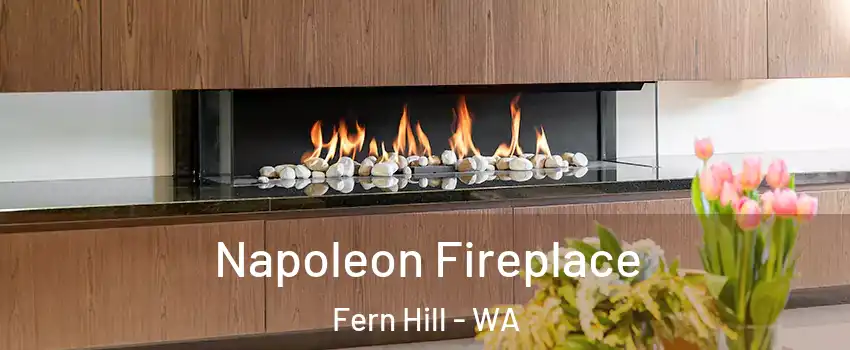 Napoleon Fireplace Fern Hill - WA