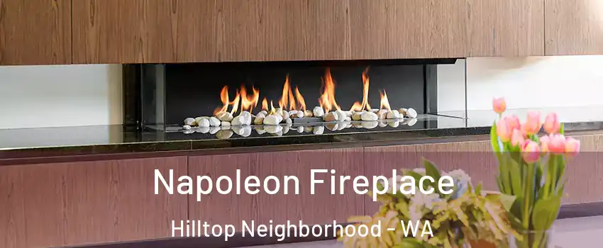 Napoleon Fireplace Hilltop Neighborhood - WA