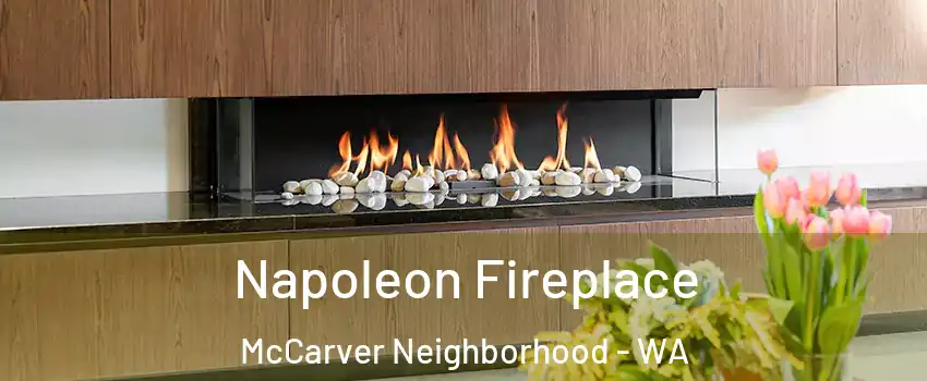 Napoleon Fireplace McCarver Neighborhood - WA