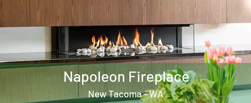 Napoleon Fireplace New Tacoma - WA