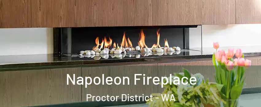 Napoleon Fireplace Proctor District - WA