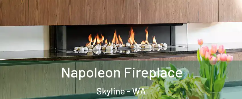 Napoleon Fireplace Skyline - WA