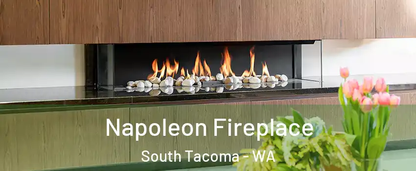 Napoleon Fireplace South Tacoma - WA