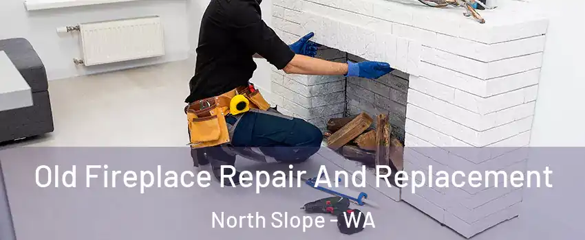 Old Fireplace Repair And Replacement North Slope - WA