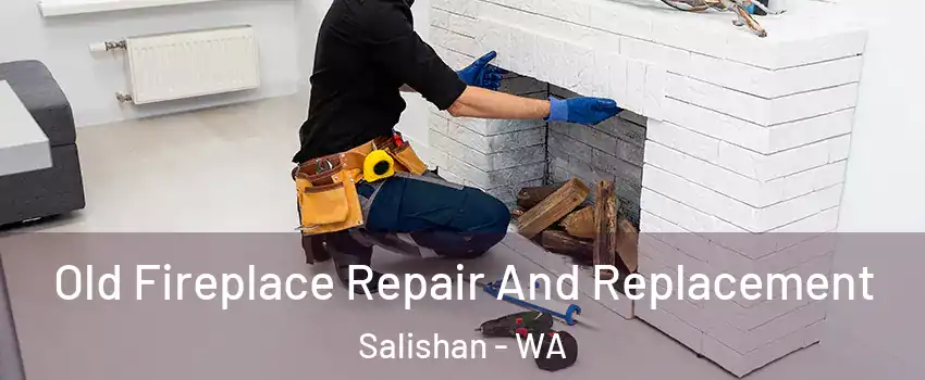 Old Fireplace Repair And Replacement Salishan - WA