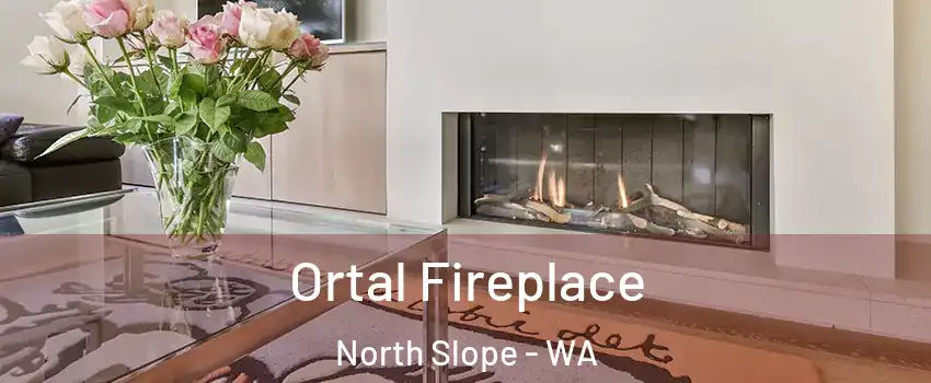 Ortal Fireplace North Slope - WA