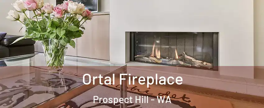 Ortal Fireplace Prospect Hill - WA