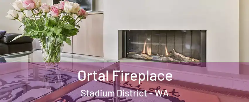 Ortal Fireplace Stadium District - WA