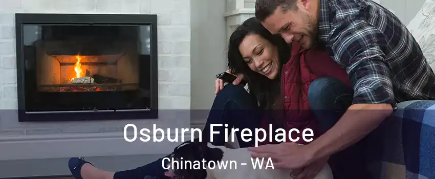 Osburn Fireplace Chinatown - WA