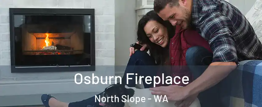 Osburn Fireplace North Slope - WA