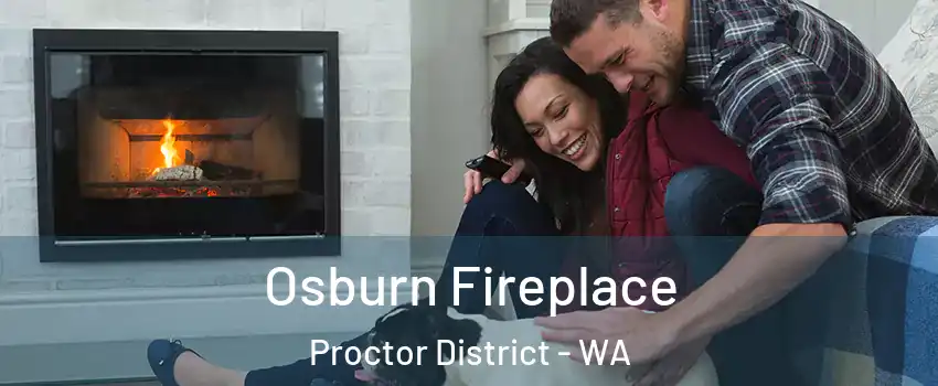 Osburn Fireplace Proctor District - WA