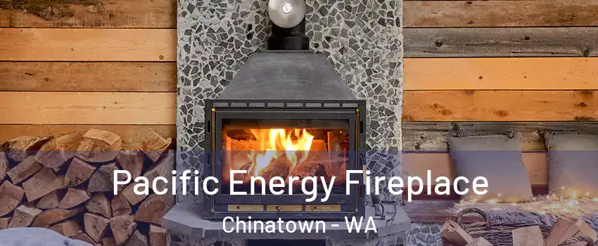 Pacific Energy Fireplace Chinatown - WA