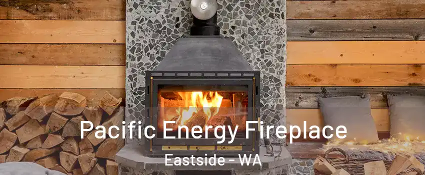 Pacific Energy Fireplace Eastside - WA