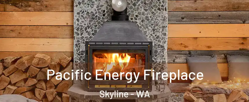 Pacific Energy Fireplace Skyline - WA