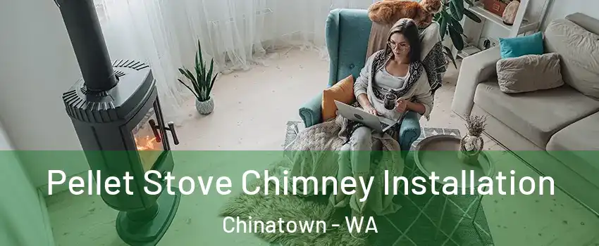 Pellet Stove Chimney Installation Chinatown - WA