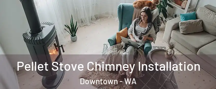 Pellet Stove Chimney Installation Downtown - WA