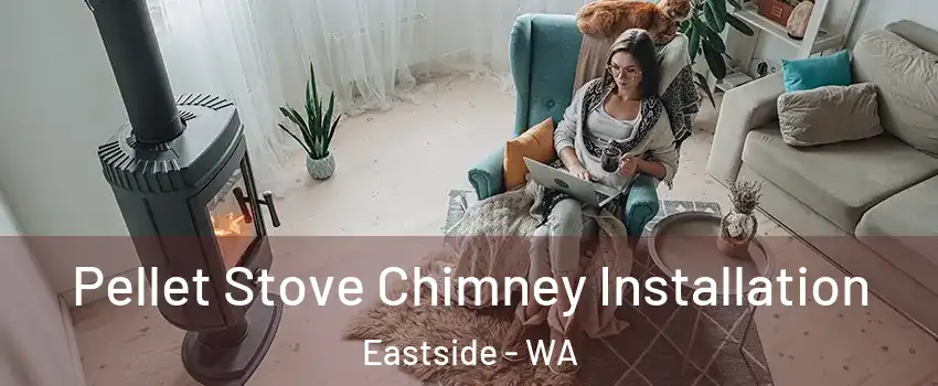 Pellet Stove Chimney Installation Eastside - WA