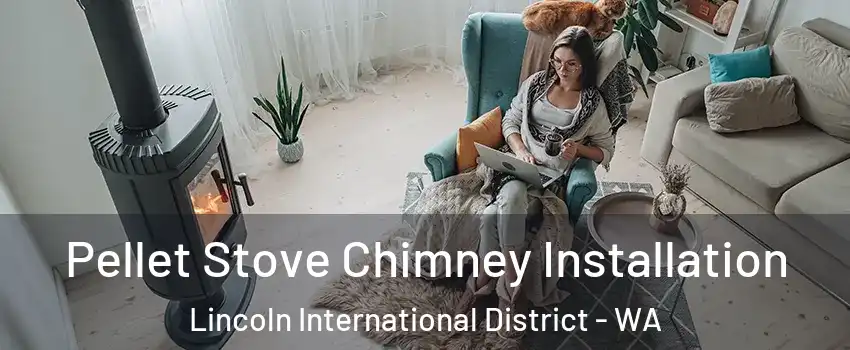 Pellet Stove Chimney Installation Lincoln International District - WA