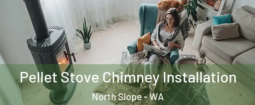 Pellet Stove Chimney Installation North Slope - WA