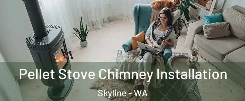 Pellet Stove Chimney Installation Skyline - WA