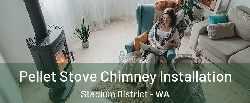 Pellet Stove Chimney Installation Stadium District - WA