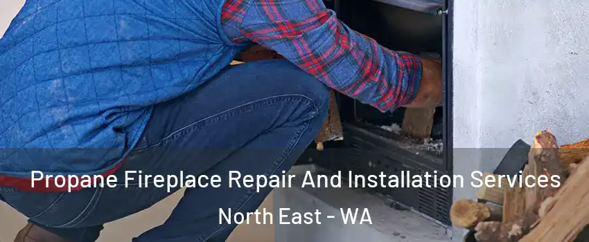 Propane Fireplace Repair And Installation Services North East - WA