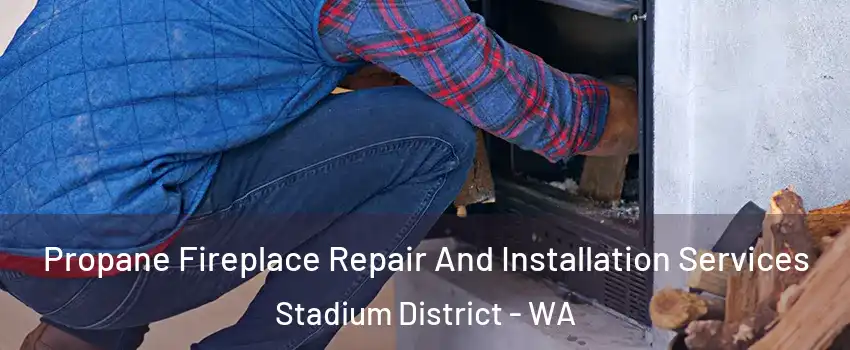 Propane Fireplace Repair And Installation Services Stadium District - WA