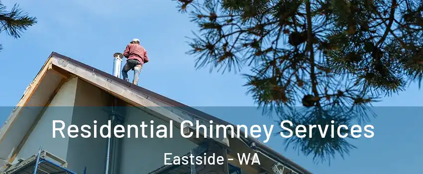 Residential Chimney Services Eastside - WA