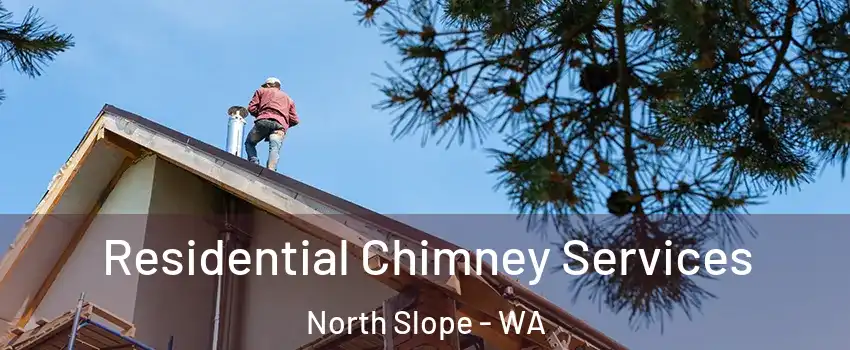 Residential Chimney Services North Slope - WA