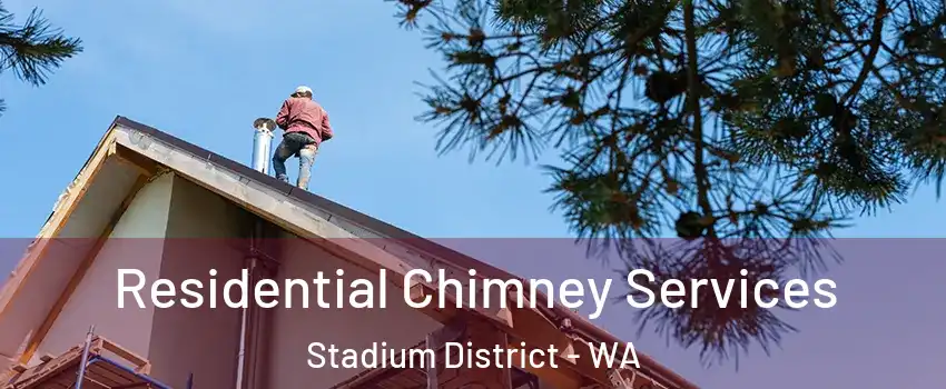 Residential Chimney Services Stadium District - WA