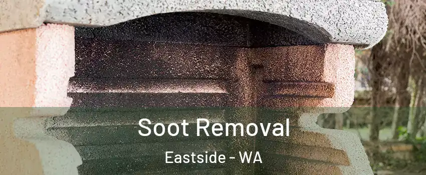 Soot Removal Eastside - WA