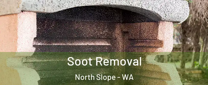 Soot Removal North Slope - WA