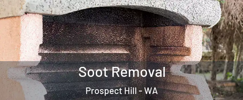 Soot Removal Prospect Hill - WA