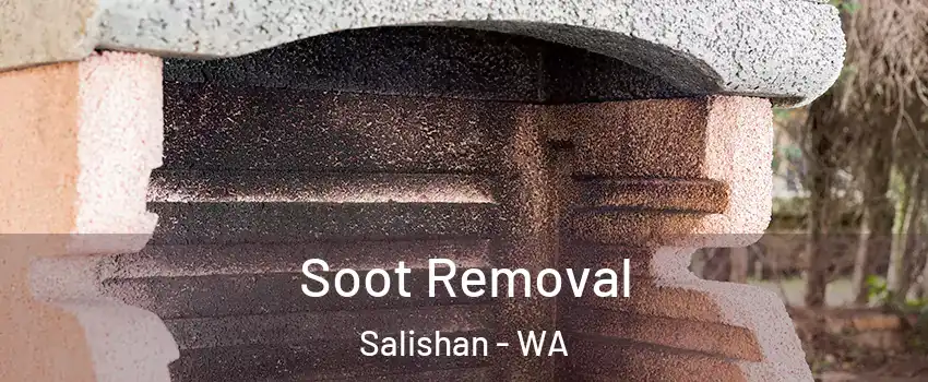 Soot Removal Salishan - WA