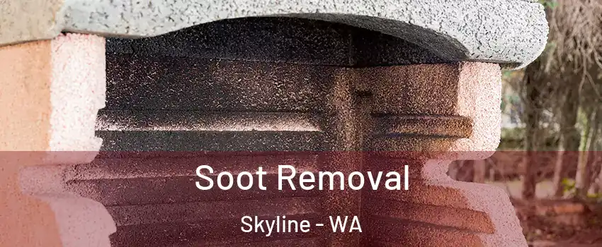 Soot Removal Skyline - WA