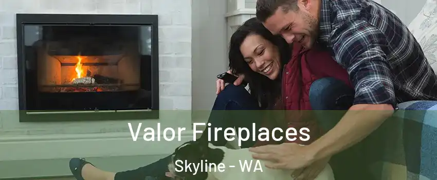 Valor Fireplaces Skyline - WA