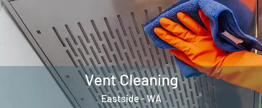 Vent Cleaning Eastside - WA