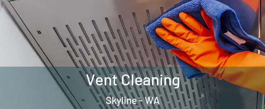 Vent Cleaning Skyline - WA