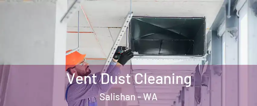 Vent Dust Cleaning Salishan - WA