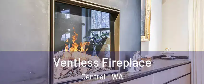 Ventless Fireplace Central - WA