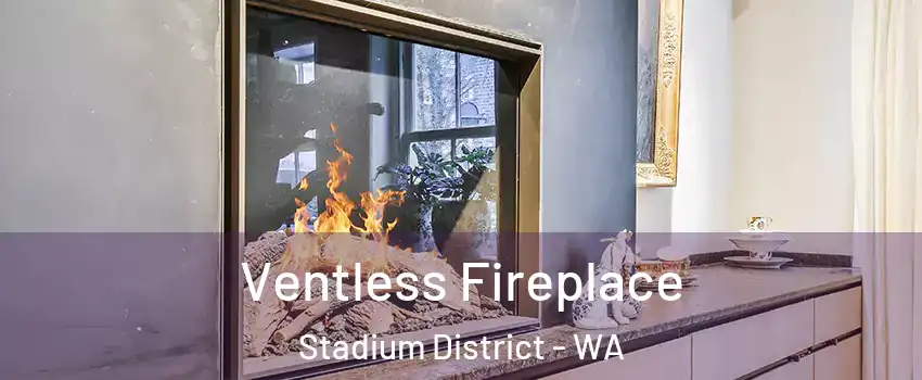 Ventless Fireplace Stadium District - WA