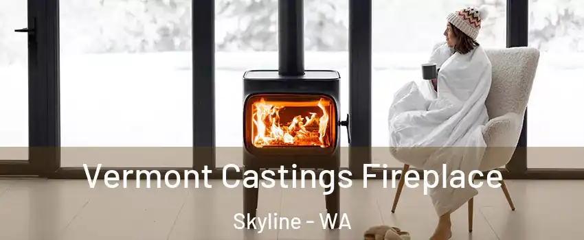 Vermont Castings Fireplace Skyline - WA