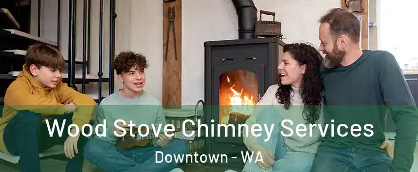 Wood Stove Chimney Services Downtown - WA