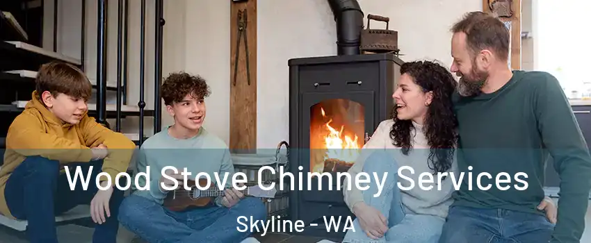 Wood Stove Chimney Services Skyline - WA